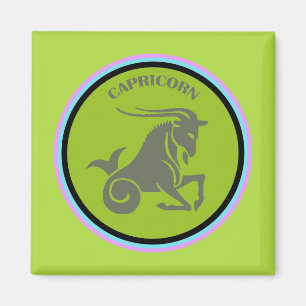 Imán Capricorn Magnet