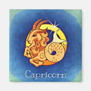 Imán Capricornio