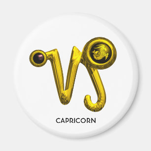 IMÁN CAPRICORNIO