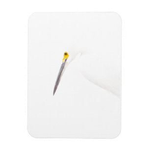 Imán Captura de cabeza de Egret
