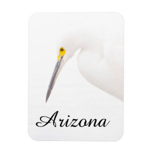 Imán Captura de cabeza de Egret, Arizona