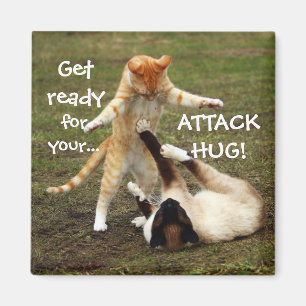 Imán Captura De Captura De Gatos Graciosa Atacar A Hug
