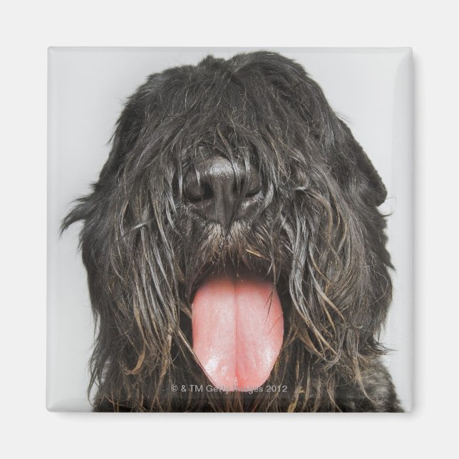 Imán Captura de pantalla de estudio (Frente)