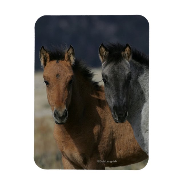 Imán Captura de pantalla de Mustang Foal (Vertical)