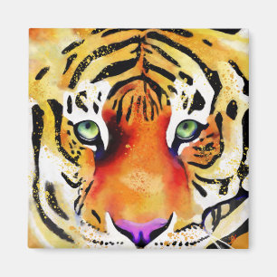 Imán Capturando la Majestad: La Mirada de un Tigre