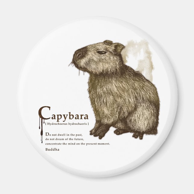 Imán capybara - sepia (Frente)