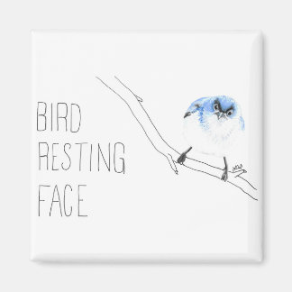 Imán Cara de anidamiento de aves (Gnatcatcher azul-gris