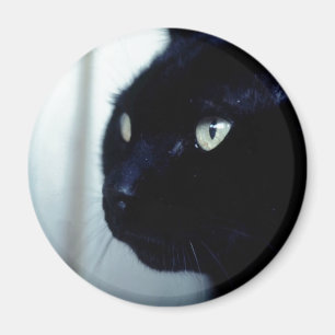Imán Cara de gato negro