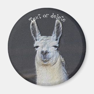 Imán Cara de Llama Arte de Animal Personalizado