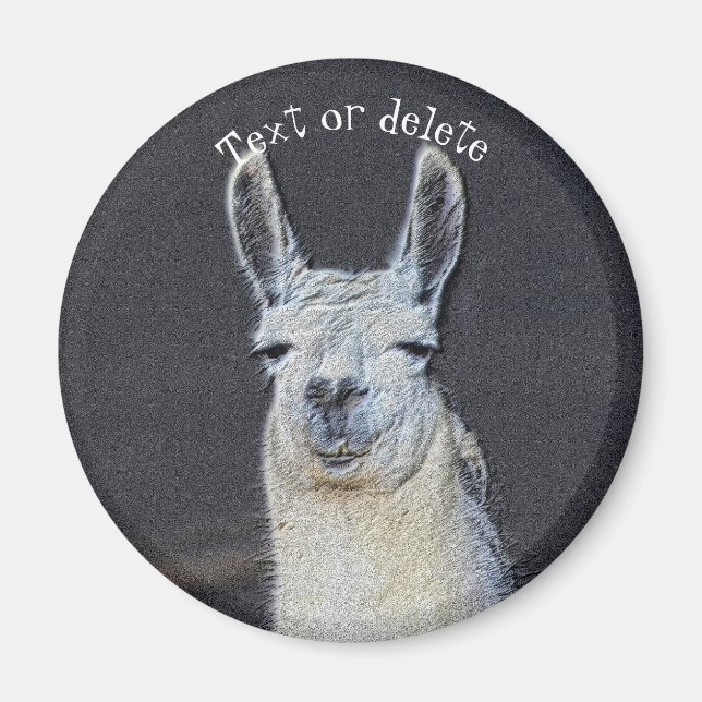 Imán Cara de Llama Arte de Animal Personalizado (Frente)