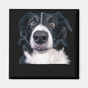 Imán Cara de Perro Blanco y Negro
