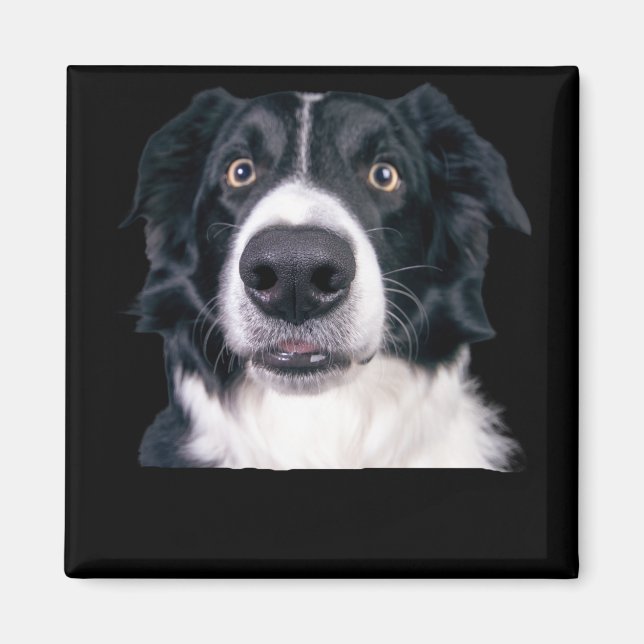 Imán Cara de perro negra y blanca (Frente)