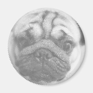 Imán Cara de pug