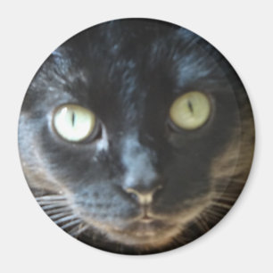 Imán Cara del gato negro