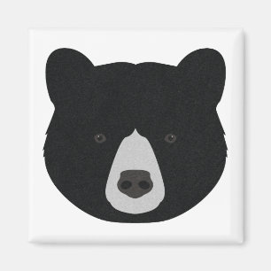 Imán Cara del oso negro