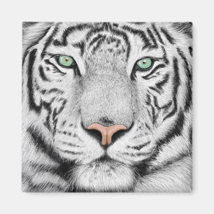 Imán Cara del tigre de nieve