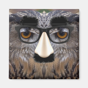 Imán Cara divertida de búho con máscara