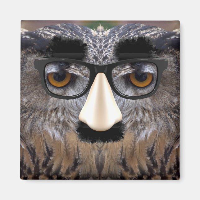 Imán Cara divertida de búho con máscara (Frente)