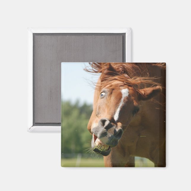 Imán Cara divertida de caballo con labios rizados, ojos (Anverso/Reverso)