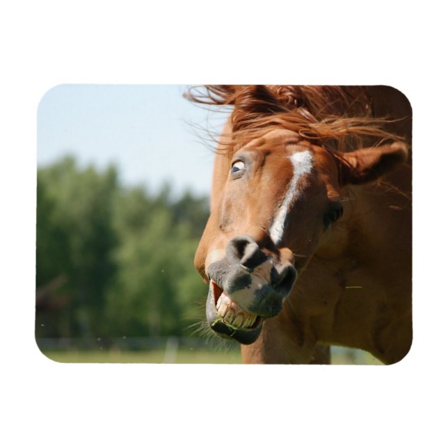 Imán Cara divertida de caballo con labios rizados, ojos (Horizontal)