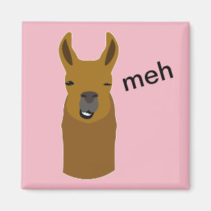 Imán Cara divertida de la llama