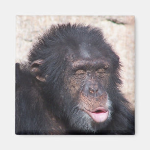 Imán cara divertida del ooo del ooo del ooo