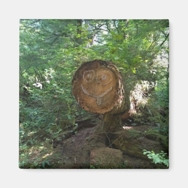 Imán Cara en un árbol (Frente)