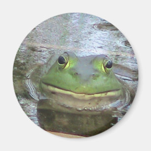 Imán Cara sonriente de la rana
