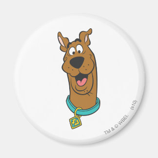 Imán Cara sonriente Scooby-Doo