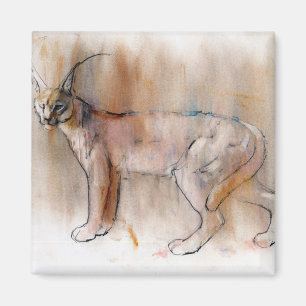 Imán Caracal árabe 2009
