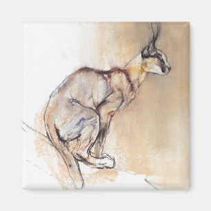 Imán Caracal asentado 2009