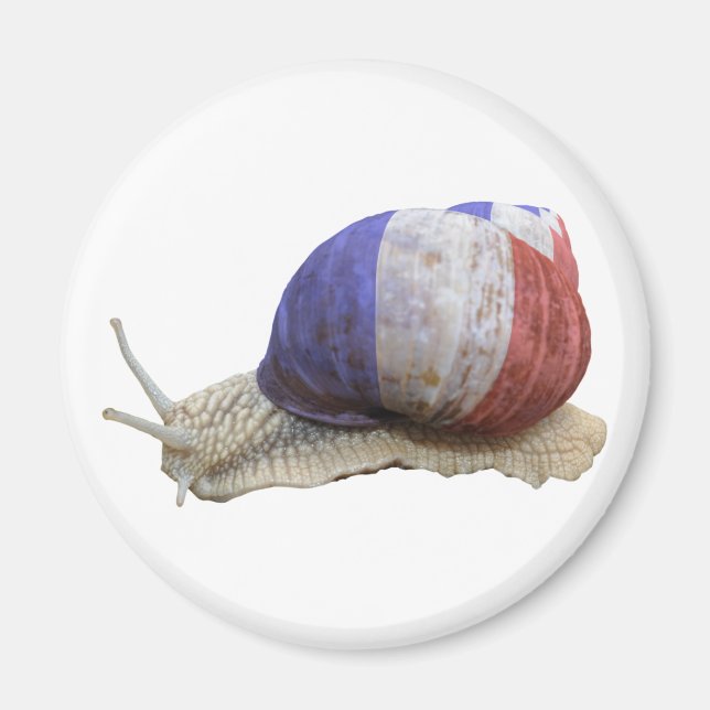 Imán Caracol de la bandera francesa (Frente)