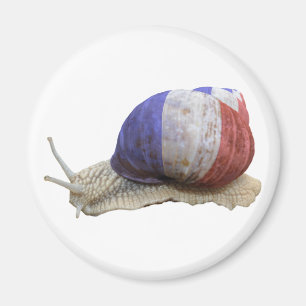 Imán Caracol francés de la bandera