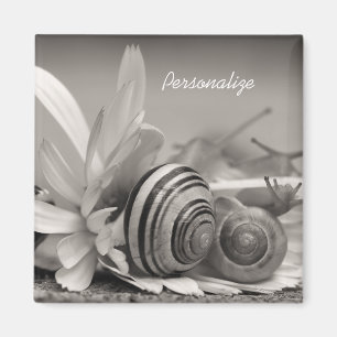 Imán Caracoles De Jardín En La Flor De Daisy Con Nombre