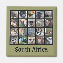 Imán Caras animales silvestres — Mamíferos, reptiles, a