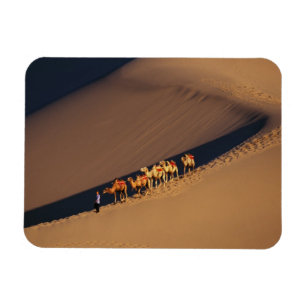 Imán Caravana de camellos en el desierto, Dunhuang, Gan