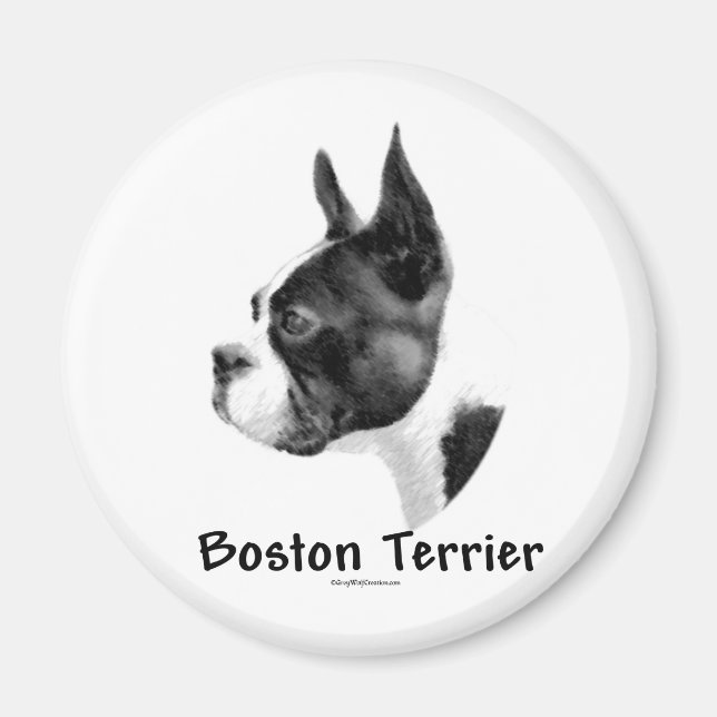 Imán Carbón de Boston Terrier 2 - Magnet (Frente)