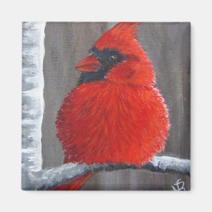 Imán Cardenal Chubby - Magnet