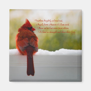 Imán Cardenal con el visitante del poema del cielo