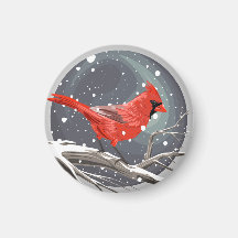 Cardenal de invierno