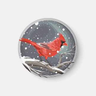 Imán Cardenal de invierno