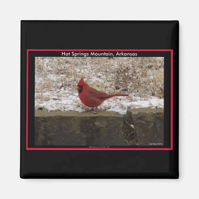 Imán Cardenal Hot Springs Nat. Regalos de Park Mountain (Frente)