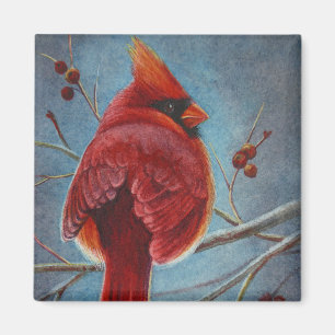 Imán Cardenal norte: Pájaro rojo bate arte acuarela