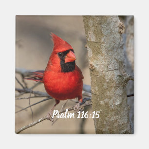 Imán Cardenal Rojo Psalm 116:15 Magnet