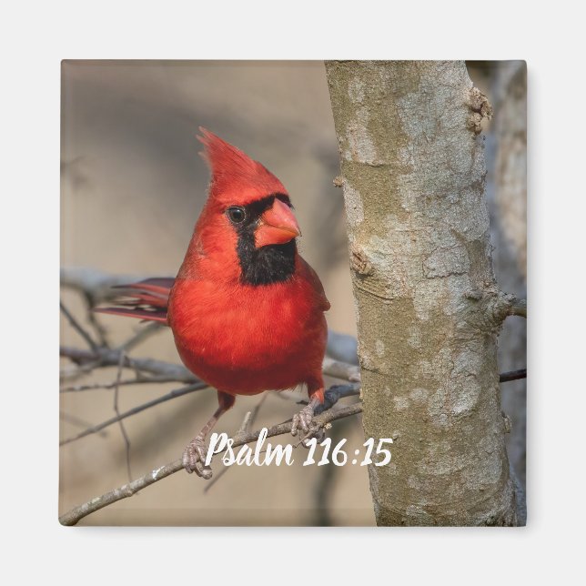 Imán Cardenal Rojo Psalm 116:15 Magnet (Frente)