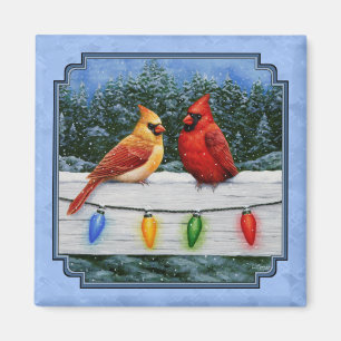 Imán Cardenales y Navidades iluminan el cielo azul