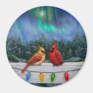 Imán Cardenales y Navidades iluminan la nieve de invier