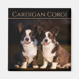 Imán Cardigan Welsh Corgi