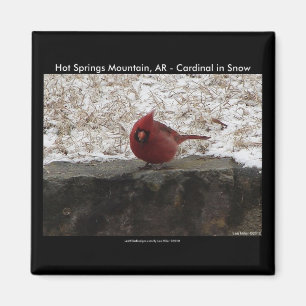 Imán Cardinal Hot Springs Parque Nat. Mt AR Regalos Rop