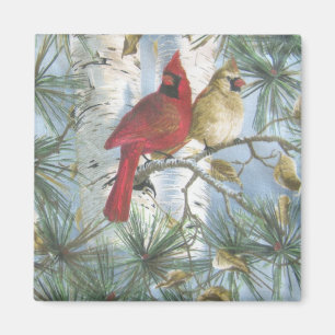 IMÁN CARDINALS-MAGNET